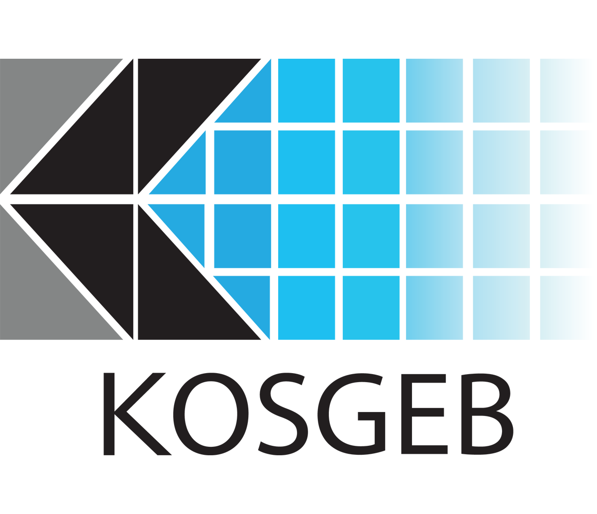 Kosgeb